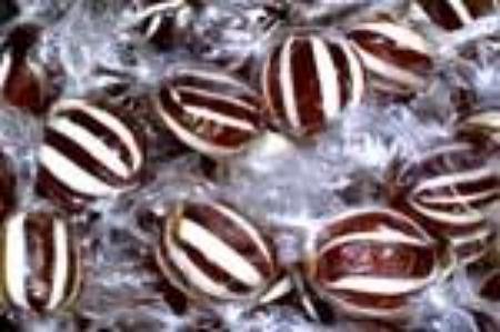 Welsh Mint Humbug Bag 200g - The Bath Sweet Shop