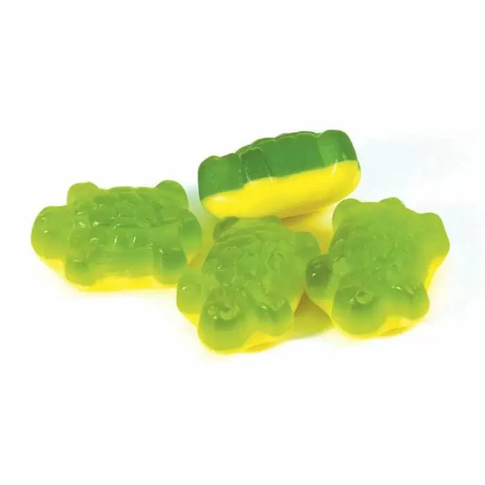 Terrific Turtles Bag 165g